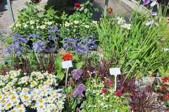 IMG-20250625-WA0008