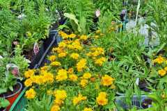 IMG-20250625-WA0014