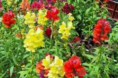 IMG-20250625-WA0015